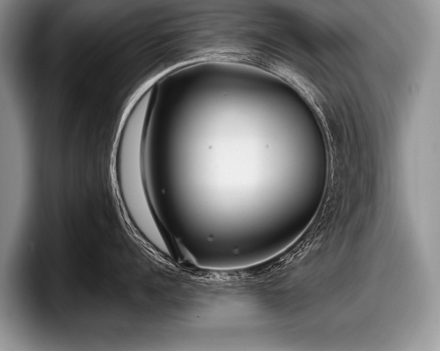 X0000097890960200803211353