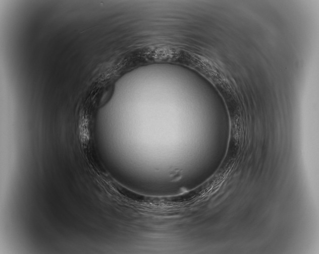 X0000097890962200803211352