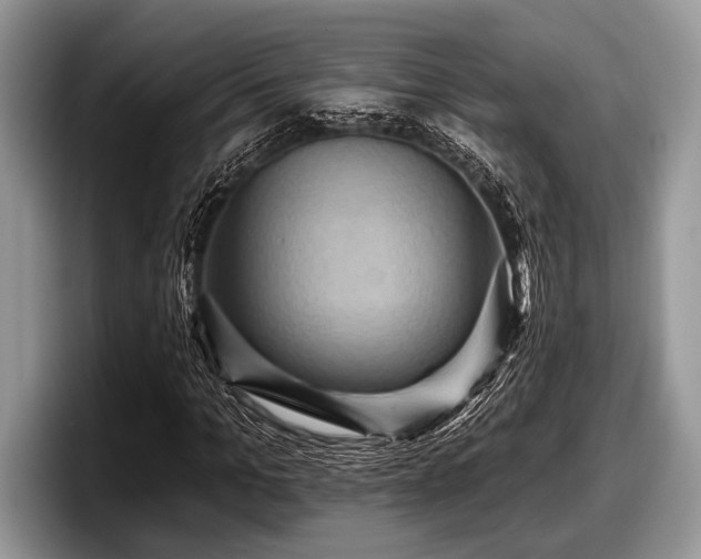 X0000097890965200803211352