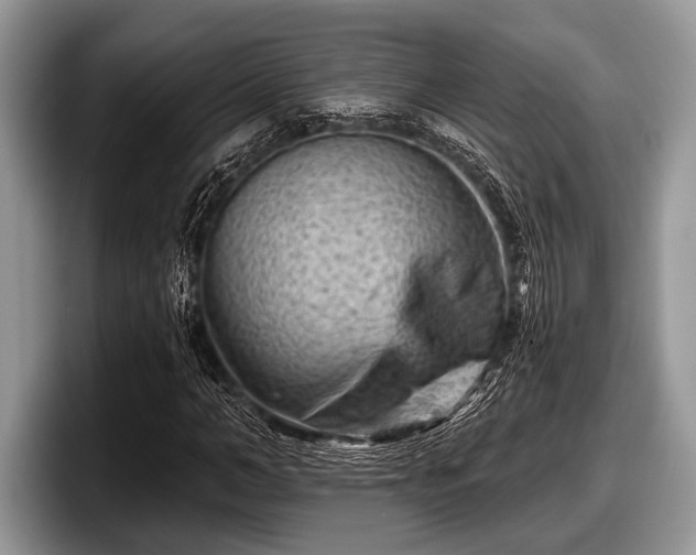 X0000097890966200803211352