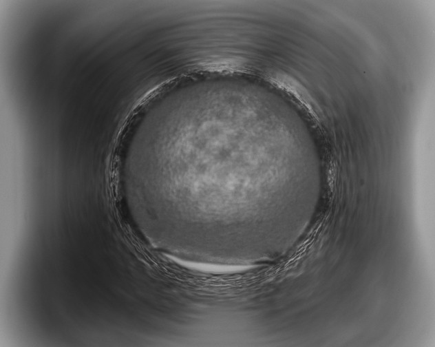 X0000097890968200803211352