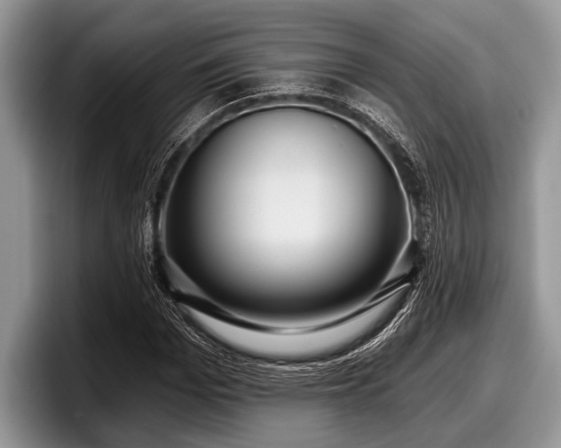 X0000097890969200803211352