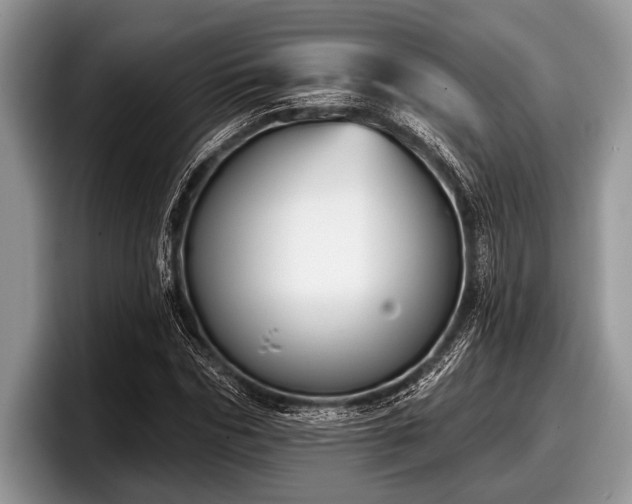 X0000097890970200803211352