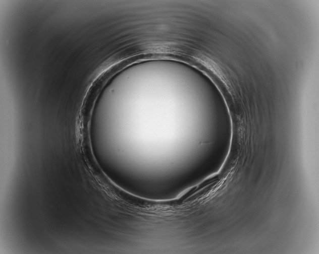 X0000097890971200803211352