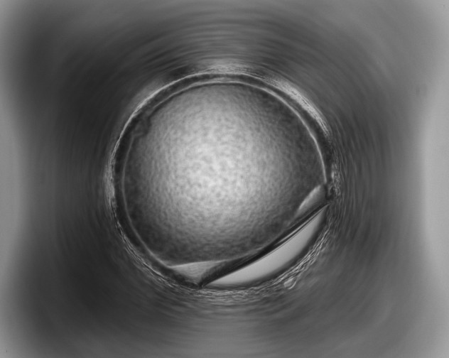 X0000097890972200803211352