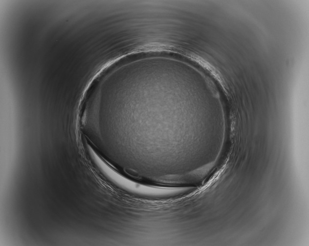 X0000097890973200803211352