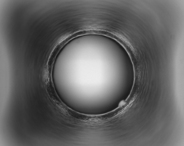 X0000097890974200803211352