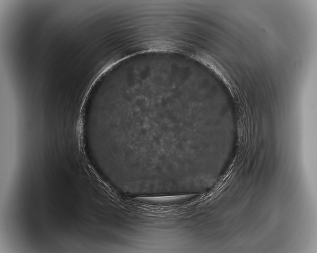 X0000097890975200803211352