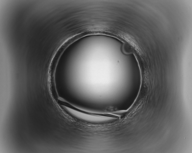 X0000097890976200803211352