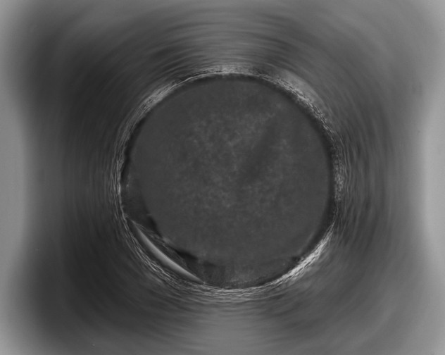 X0000097890977200803211352