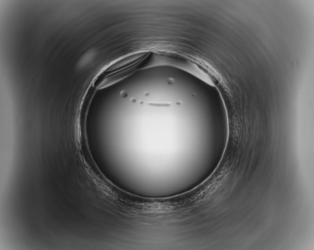 X0000097890980200803211352