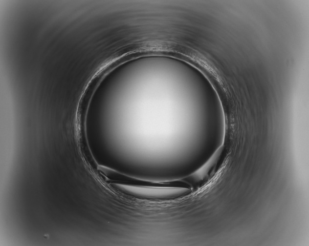 X0000097890981200803211352