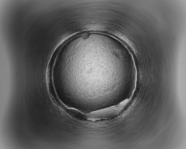 X0000097890983200803211352