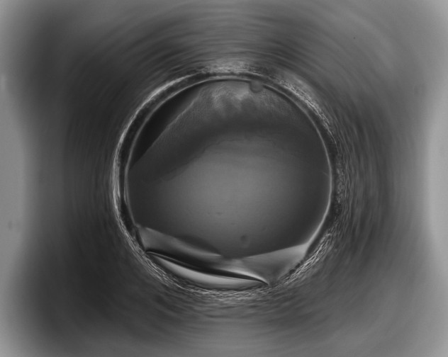 X0000097890984200803211352