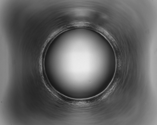 X0000097890986200803211352