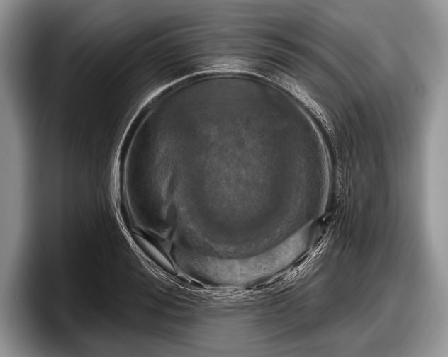 X0000097890988200803211352