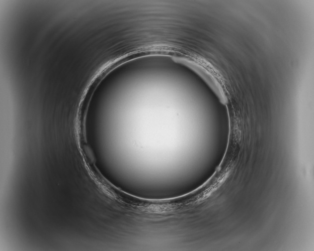 X0000097890989200803211352