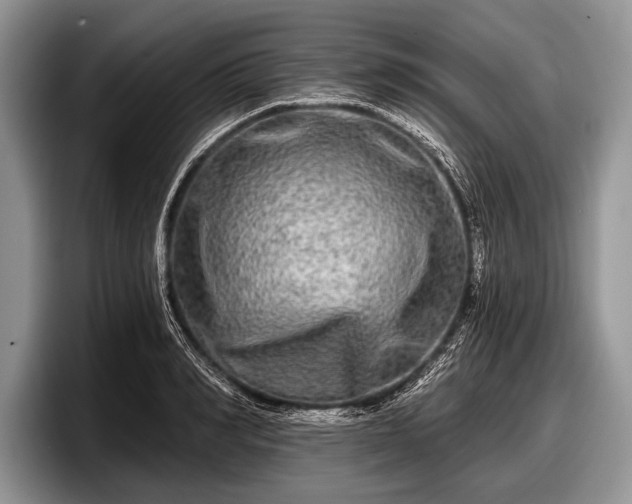 X0000097890990200803211352