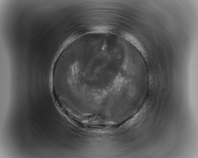 X0000097890994200803211352