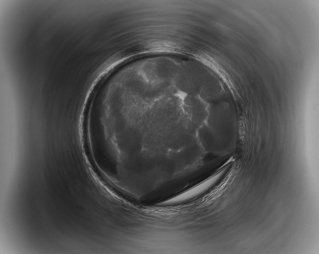 X0000097890995200803211352