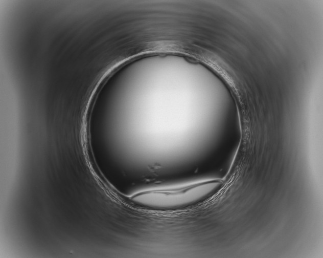 X0000097890996200803211352