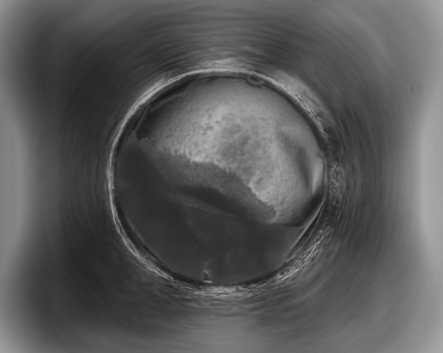 X0000097890998200803211352