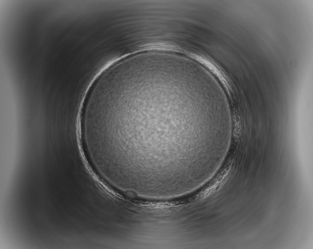 X0000097890999200803211352