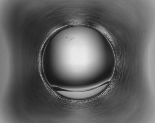 X0000097891000200803211352