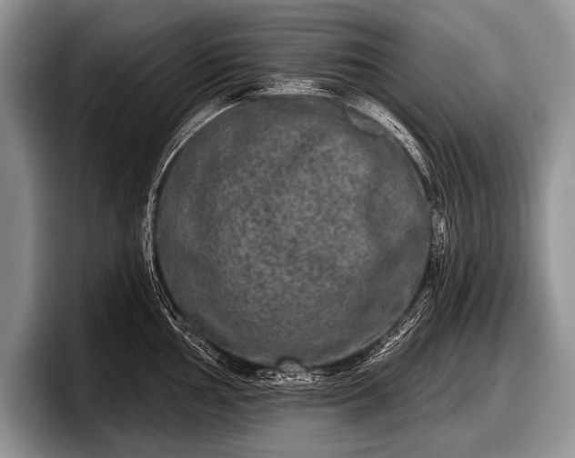 X0000097891002200803211352