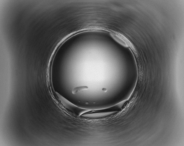 X0000097891004200803211352