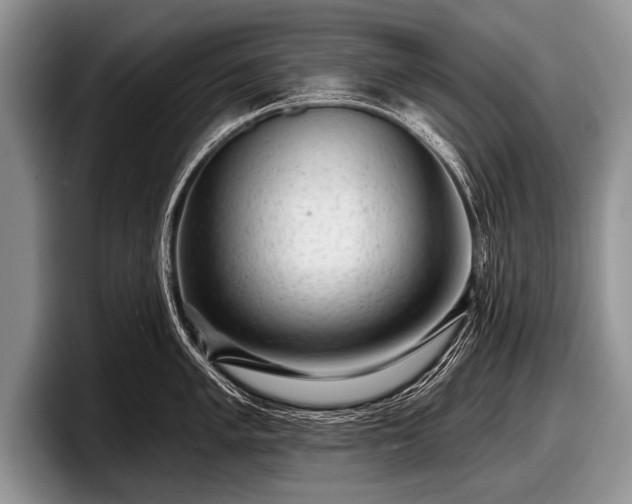 X0000097891005200803211352