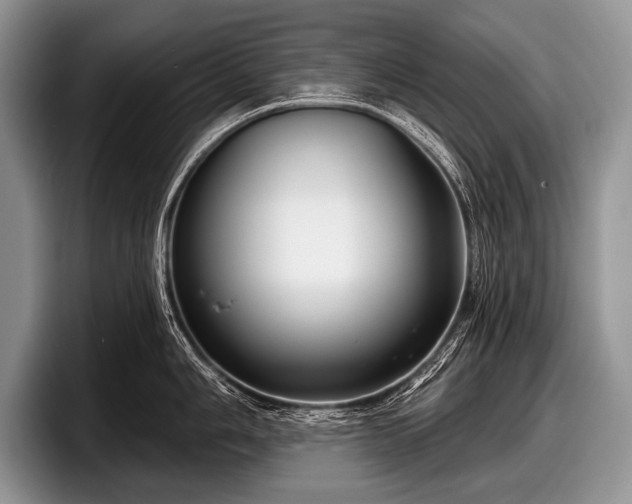 X0000097891006200803211351