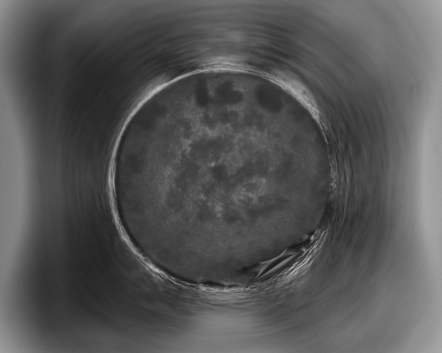 X0000097891007200803211351