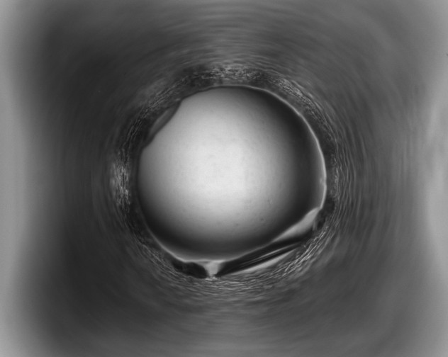 X0000097891010200803211351