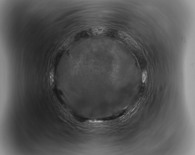 X0000097891011200803211351