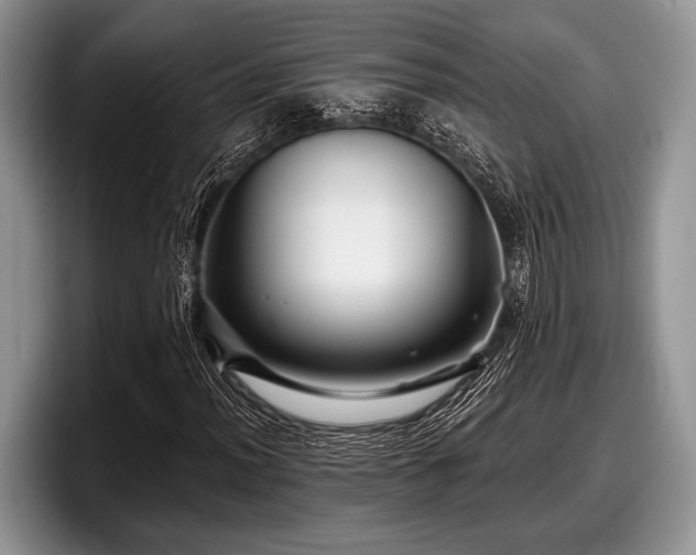 X0000097891012200803211351