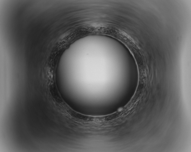 X0000097891013200803211351