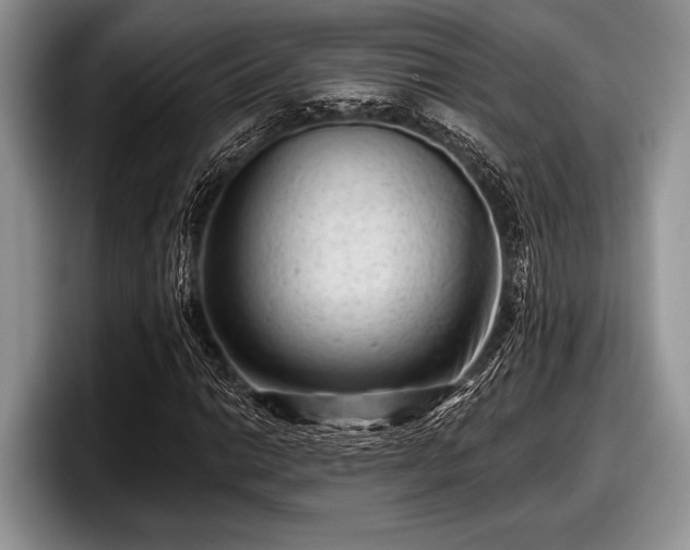 X0000097891014200803211351