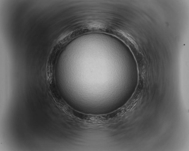 X0000097891015200803211351