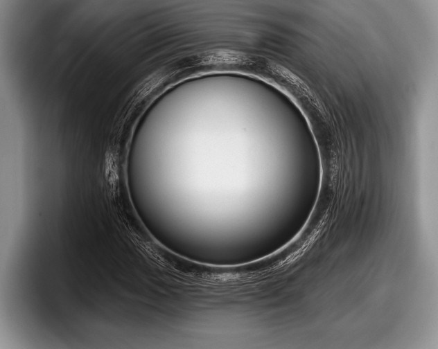 X0000097891017200803211351