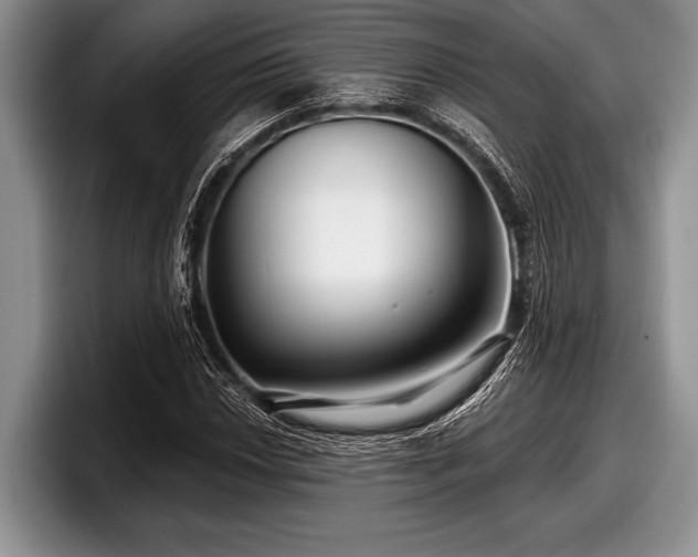 X0000097891018200803211351