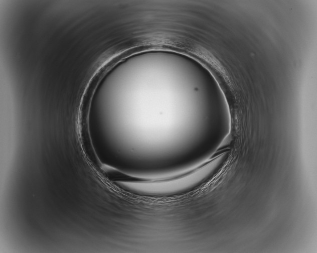 X0000097891020200803211351