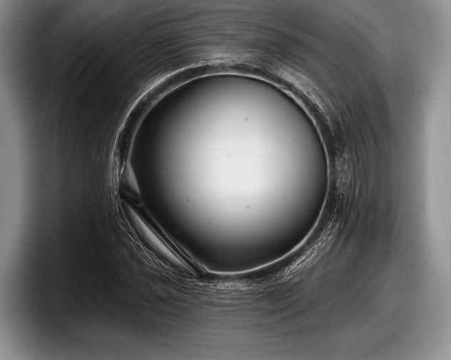 X0000097891021200803211351