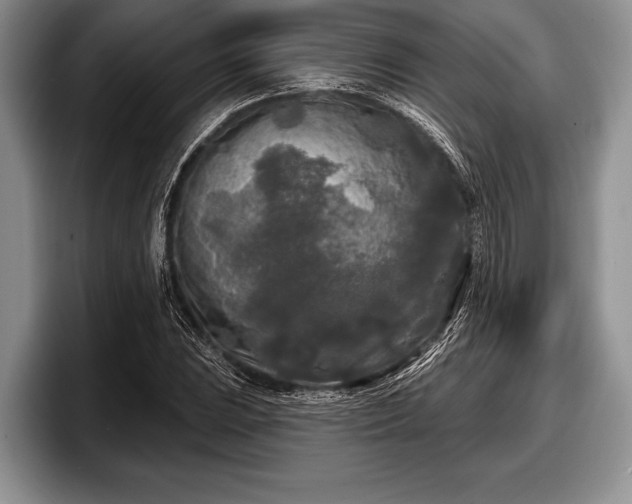 X0000097891023200803211351