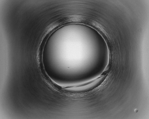 X0000097891026200803211351