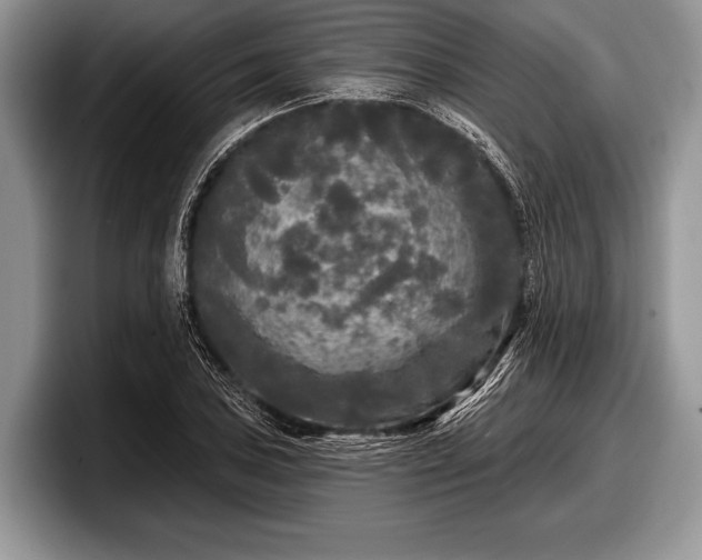 X0000097891027200803211351