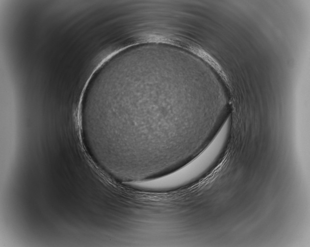 X0000097891028200803211351