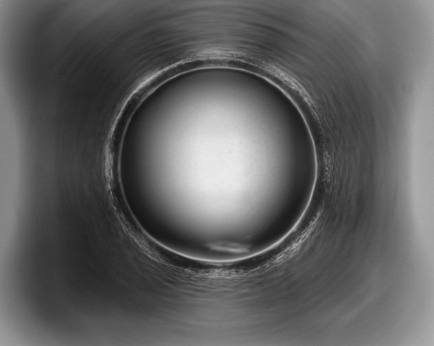 X0000097891029200803211351