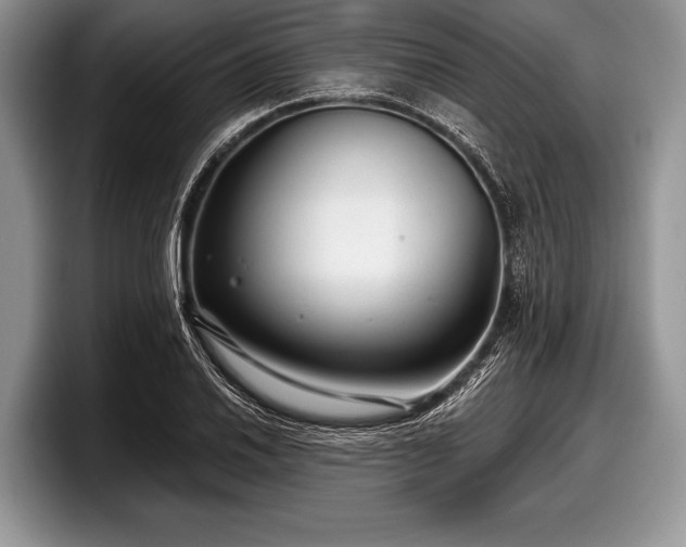 X0000097891030200803211351