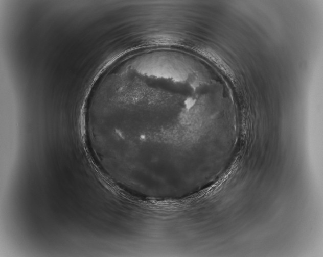 X0000097891031200803211351